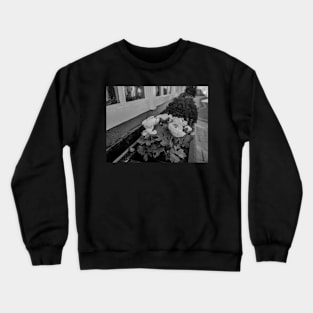 City centre window boxes Crewneck Sweatshirt